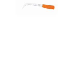 Gurbia.jpg Gurbia Colorada Gavilan