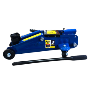 WEB-GATA-LAGARTO-.png Gatas Lagarto